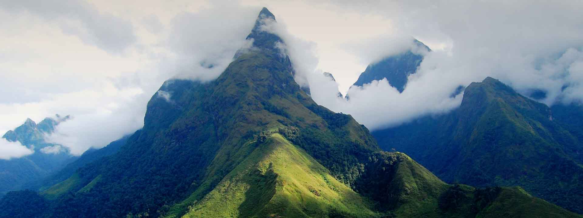 Image gallery
